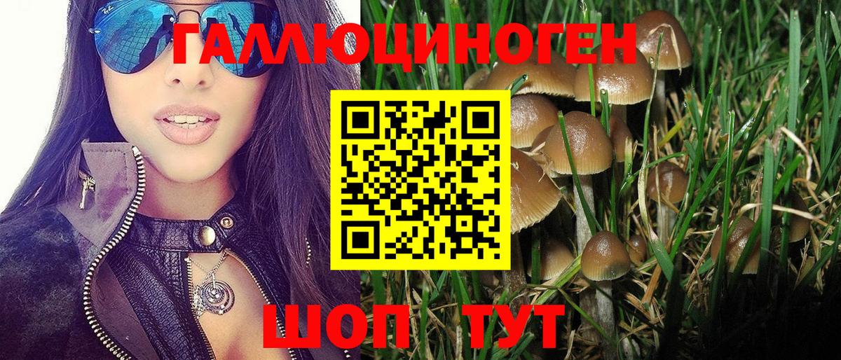 Псилоцибиновые грибы мицелий Ступино